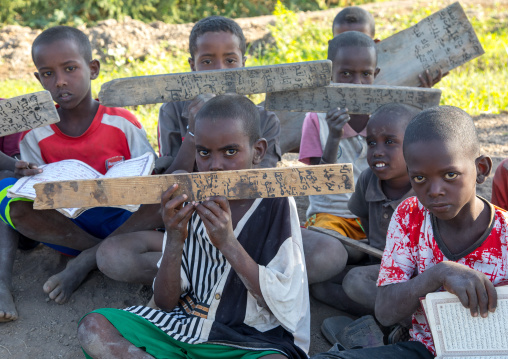 Afar tribe children with wood boards in a coranic school, Afar region, Afambo, Ethiopia