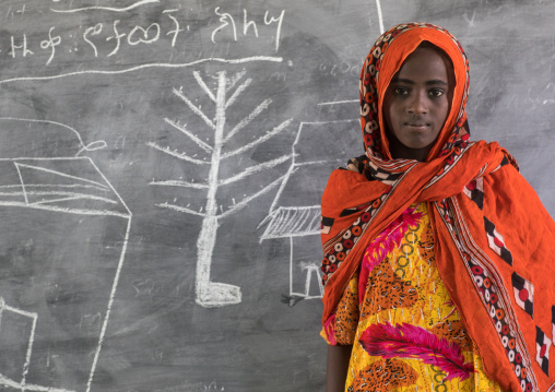 Portrait of an Afar tribe girl in front of a blackboard in a school, Afar region, Semera, Ethiopia