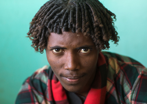 Portrait of an Afar tribe man with traditional curly hair, Afar region, Semera, Ethiopia