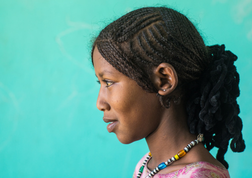 Side view of an Afar tribe girl with braided hair, Afar region, Semera, Ethiopia
