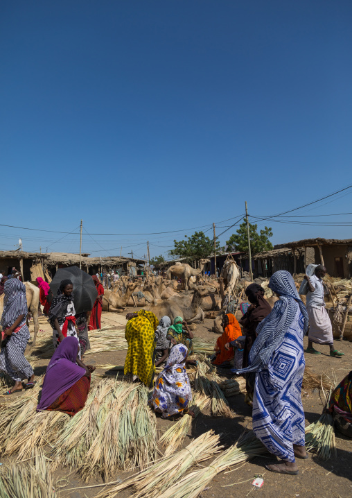 Afar people selling and buying in the straw market, Afar region, Assaita, Ethiopia