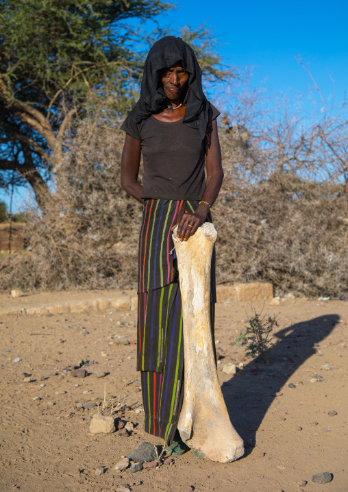 Afar tribe woman with an elephant femur bone found in a dry river, Afar region, Chifra, Ethiopia