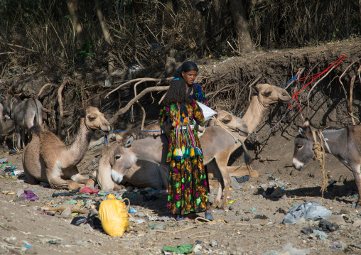 Oromo women loading a donkey on the market, Amhara region, Senbete, Ethiopia
