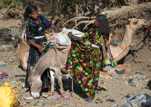 Oromo women loading a donkey on the market, Amhara region, Senbete, Ethiopia