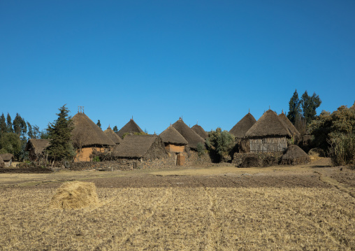 Stone houses village in the highlands, Amhara region, Debre Birhan, Ethiopia