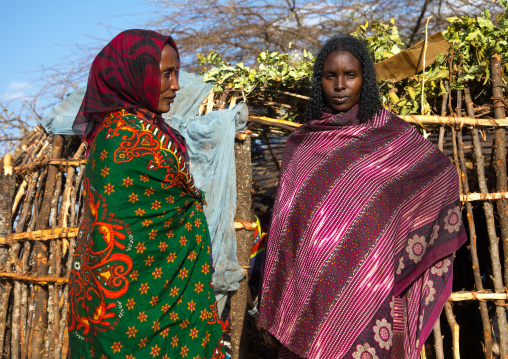 Borana tribe women in front of a hut, Oromia, Yabelo, Ethiopia