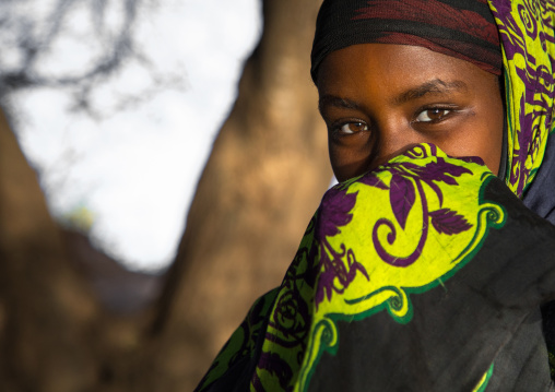 Portrait of a Borana tribe woman hiding her face, Oromia, Yabelo, Ethiopia