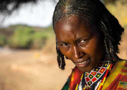 Portrait of a Borana tribe woman, Oromia, Yabelo, Ethiopia