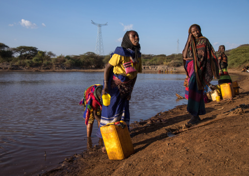 Borana tribe women filling jerricans in a water reservoir used for animals, Oromia, Yabelo, Ethiopia