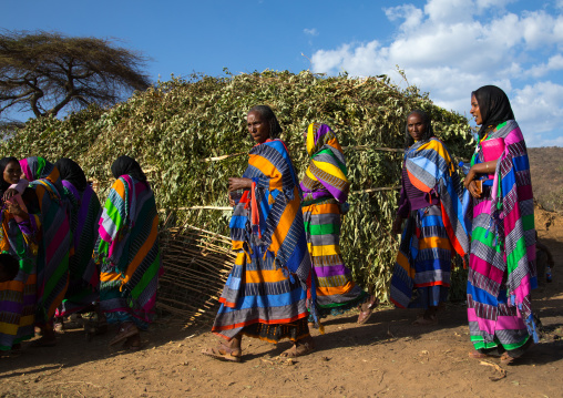 Borana women in traditional clothing during the Gada system ceremony in Borana tribe, Oromia, Yabelo, Ethiopia