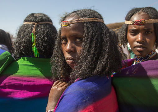 Borana tribe virgin girls during the Gada system ceremony, Oromia, Yabelo, Ethiopia