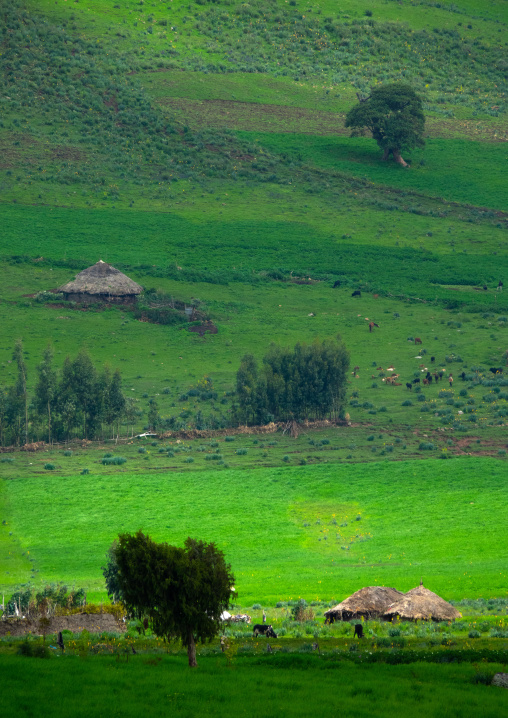 Village in the highlands, Oromia, Bale Mountains National Park, Ethiopia