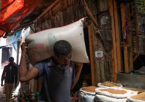 Ethiopian man carrying a heavy bag in the grain market, Harari region, Harar, Ethiopia