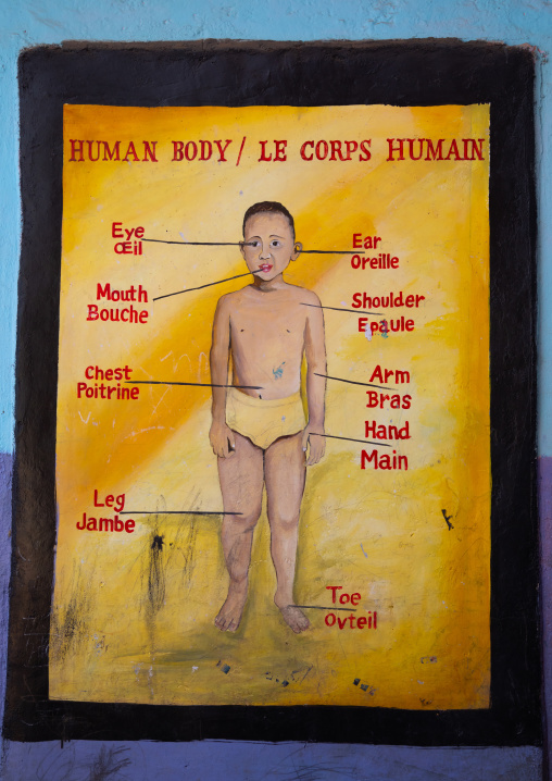 Human body parts chart in a school, Harari region, Harar, Ethiopia