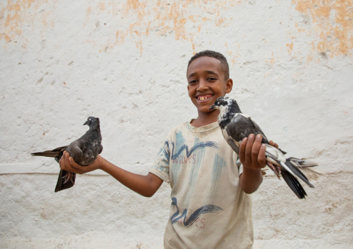 Ethiopian boy holding pigeons, Harari region, Harar, Ethiopia