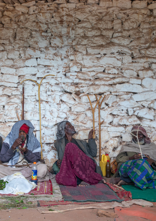Oromo pilgrims chewing khat in their camp in Sheikh Hussein shrine, Oromia, Sheik Hussein, Ethiopia