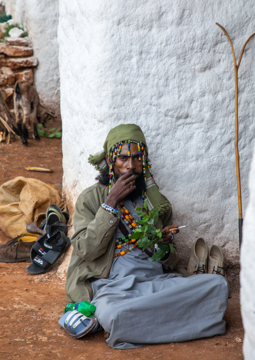 Oromo pilgrim chewing khat in Sheikh Hussein shrine, Oromia, Sheik Hussein, Ethiopia
