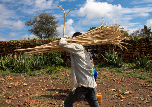 Oromo man carrying forked sticks called oulle for the pilgrims, Oromia, Sheik Hussein, Ethiopia