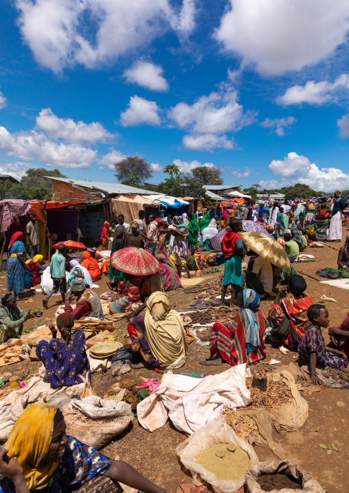 Busy market with oromo pilgrims, Oromia, Sheik Hussein, Ethiopia