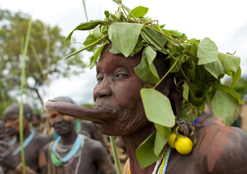 Old Surma Woman With A Lip Plate Wearing A Tree Leaf Headdress, Kibbish Village, Omo Valley, Ethiopia