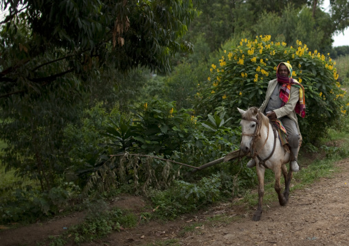 Old man riding a horse, Ethiopia