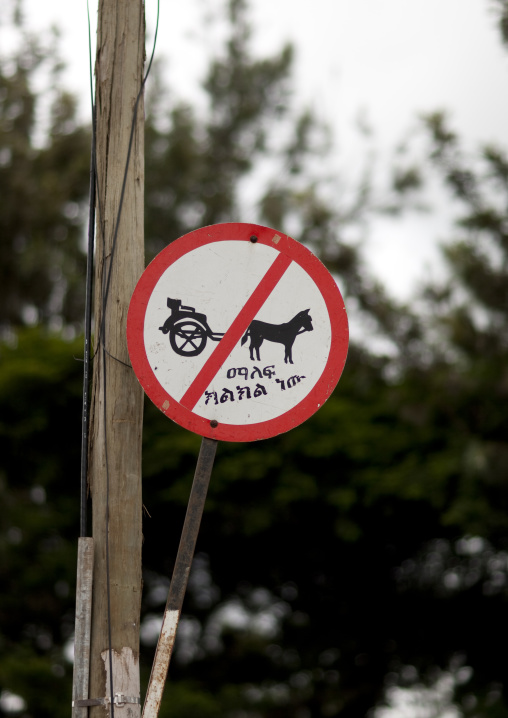 Road Sign In Woliso Market, Ethiopia