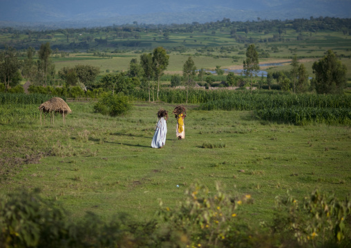 Women carrying wood, Gourague area, Ethiopia