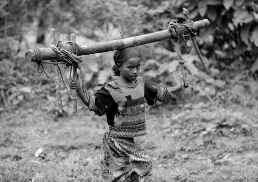Kaffa girl carrying wood, Mezan teferi area, Ethiopia