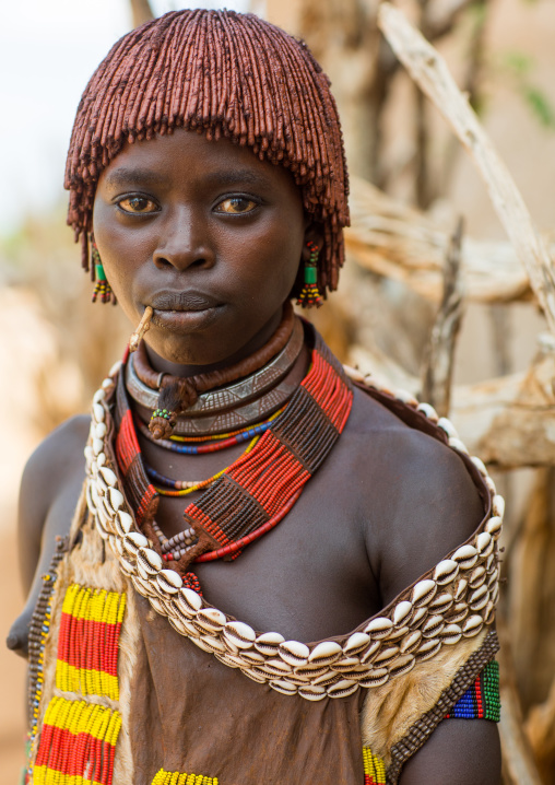 Portrait of a young woman from Hamer tribe with a beaded necklaces and cauris belt, Omo valley, Turmi, Ethiopia