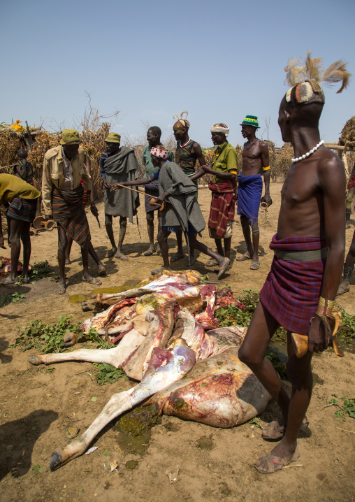 Tribe people cooking a cow during the proud ox ceremony in Dassanech tribe, Turkana County, Omorate, Ethiopia