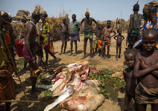 Tribe people cooking a cow during the proud ox ceremony in Dassanech tribe, Omo valley, Omorate, Ethiopia