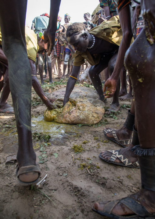 People covering themselves with cow dungs during the proud ox ceremony in the Dassanech tribe, Turkana County, Omorate, Ethiopia