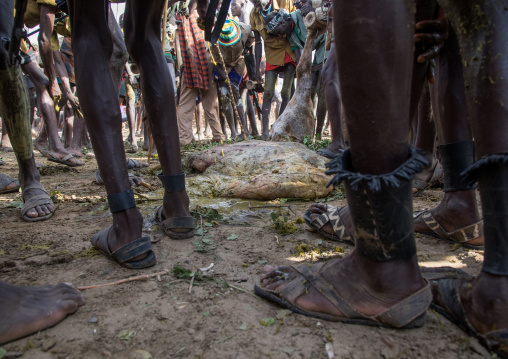 Tribe people putting cow dungs on their Bodi es during the proud ox ceremony in the Dassanech tribe, Turkana County, Omorate, Ethiopia