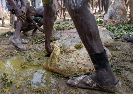 People covering themselves with cow dungs during the proud ox ceremony in the Dassanech tribe, Turkana County, Omorate, Ethiopia