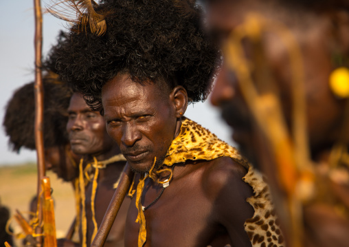 Dassanech men with leopard skins and ostrich feathers wigs during Dimi ceremony to celebrate circumcision of teenagers, Turkana County, Omorate, Ethiopia