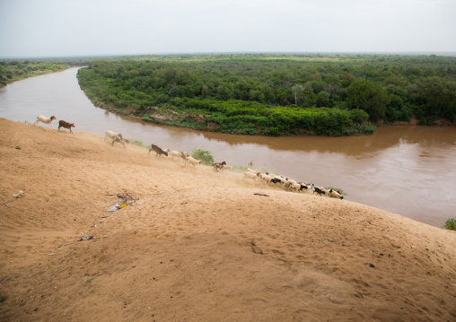 View over Omo river from the top of the bank, Omo valley, Korcho, Ethiopia