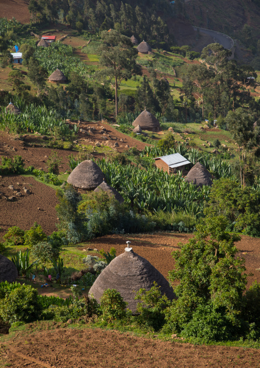Gurage houses in the mountain, Gurage Zone, Butajira, Ethiopia