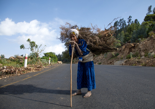 Od Gurage tribe woman carrying some wood on her back, Gurage Zone, Butajira, Ethiopia