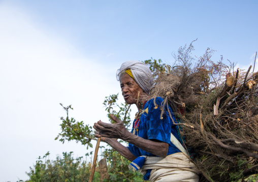 Od Gurage tribe woman carrying some wood on her back, Gurage Zone, Butajira, Ethiopia