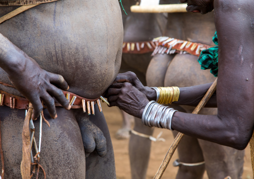 Woman putting a belt to a Bodi tribe fat man during Kael ceremony, Omo valley, Hana Mursi, Ethiopia