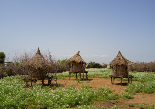 Nyangatom tribe granaries in a village, Omo valley, Kangate, Ethiopia
