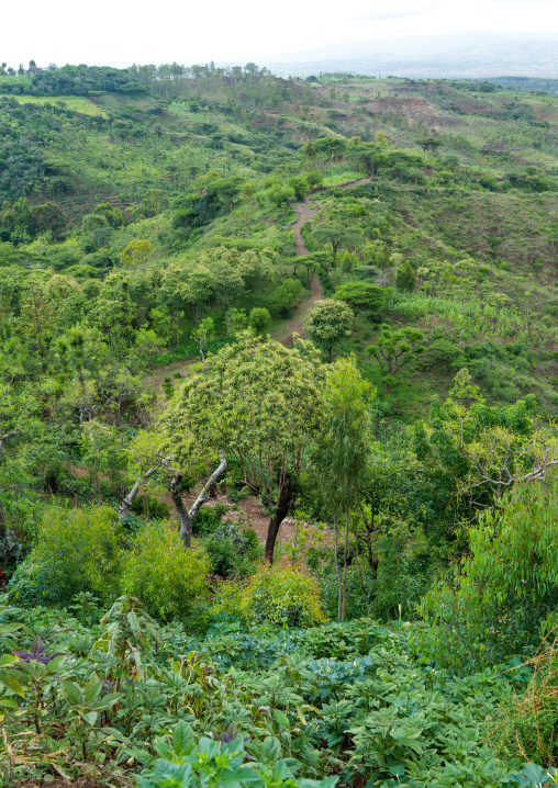 Landscape in Konso tribe area, Omo valley, Konso, Ethiopia