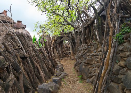 Konso village entrance and wooden fences, Omo valley, Konso, Ethiopia