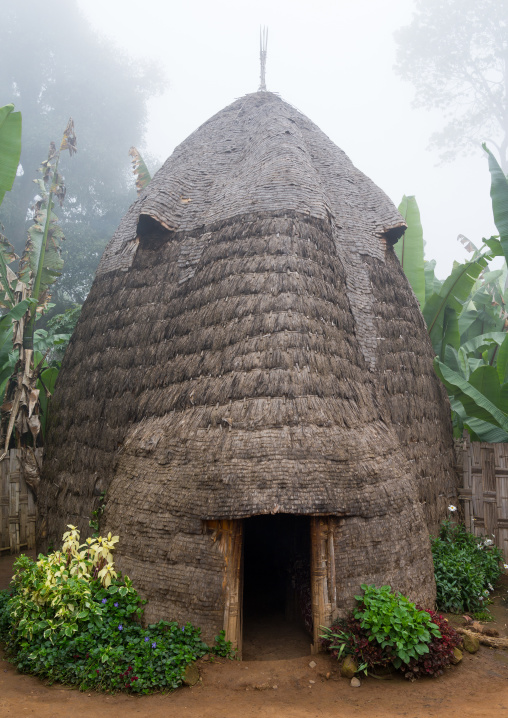 Traditional Dorze house made of bamboo and enset leaves, Gamo Gofa Zone, Gamole, Ethiopia
