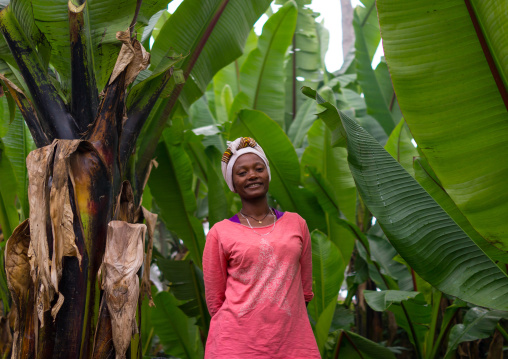 Dorze woman in the middle of enset false bananas trees, Gamo Gofa Zone, Gamole, Ethiopia