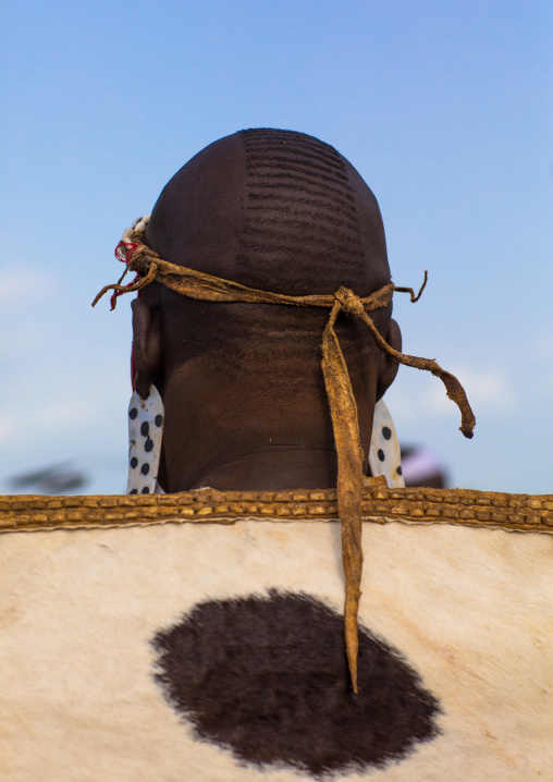 Rear view of a Bodi tribe fat men during Kael ceremony, Omo valley, Hana Mursi, Ethiopia