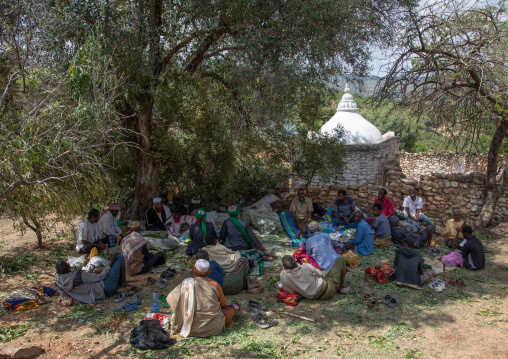 Harari men chewing khat during a sufi celebration, Harari Region, Harar, Ethiopia