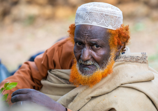 Harari man with a red beard chewing khat during a sufi celebration, Harari Region, Harar, Ethiopia