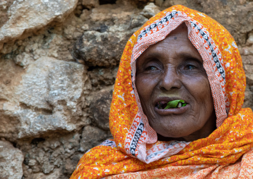 Old harari woman chewing khat during a sufi ceremony, Harari Region, Harar, Ethiopia