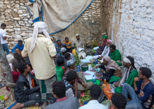 Harari men chewing khat during a sufi celebration, Harari Region, Harar, Ethiopia